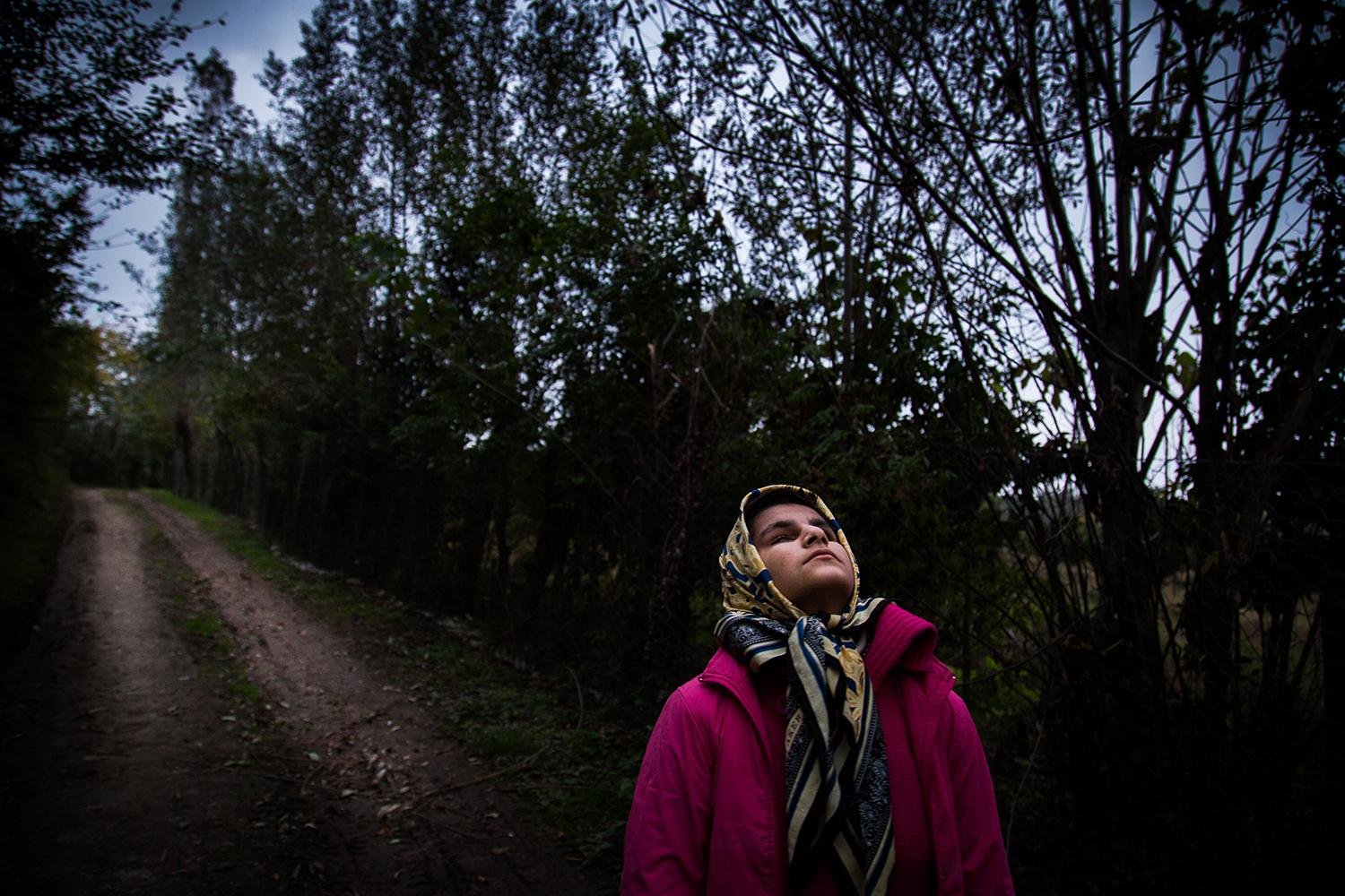 Into the Light by Zohreh Saberi