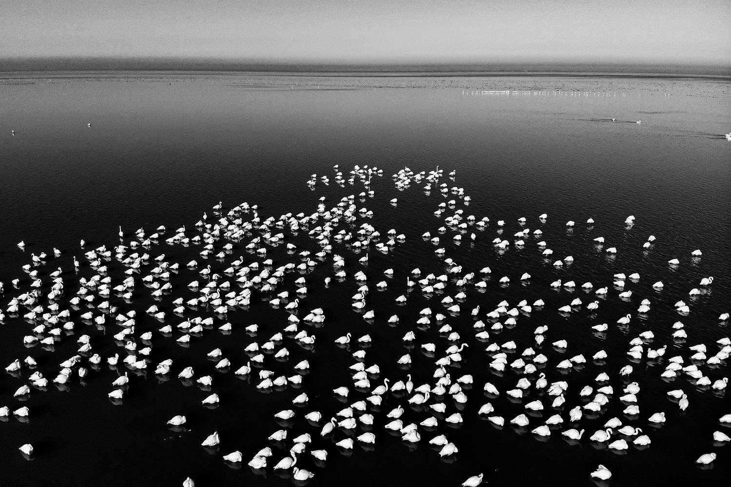 Elegy for Migrants by keyvan Jafari