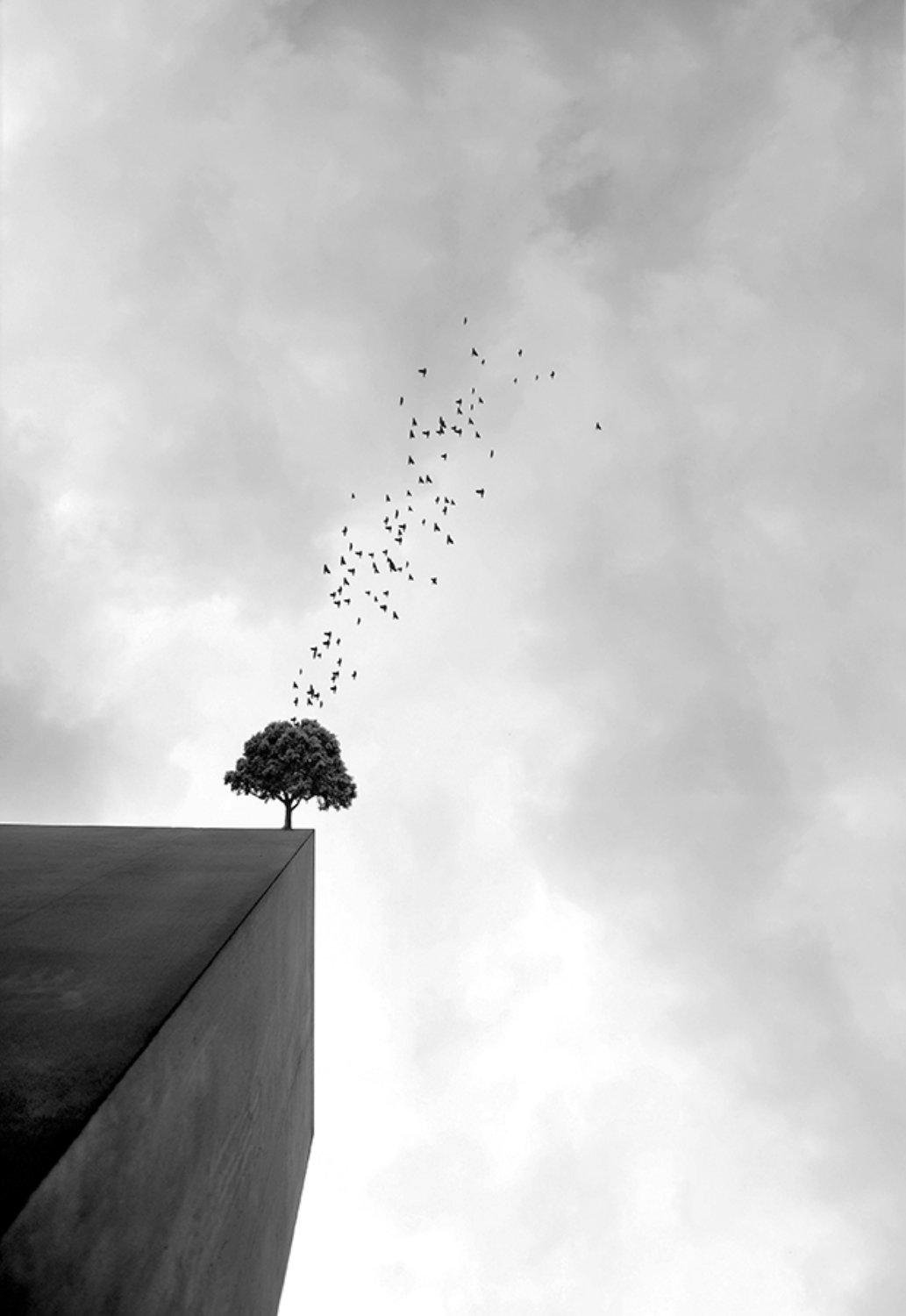 Alone human by Vahid Babaei