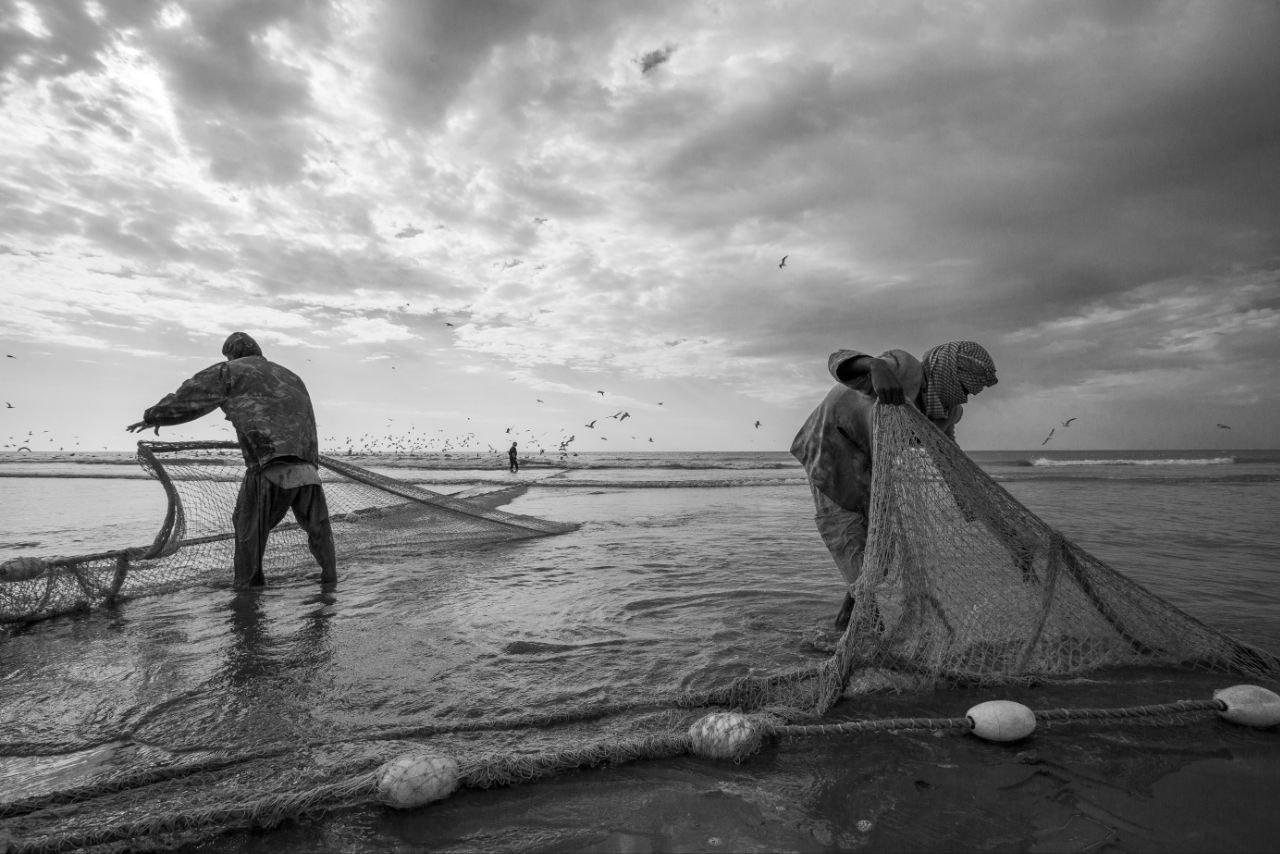 Fishing by Hesamodin Ansarian