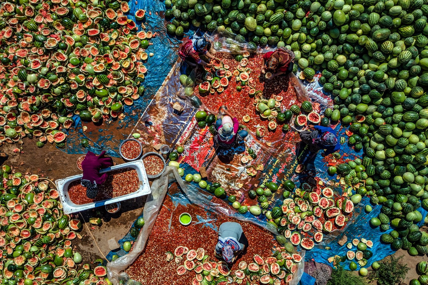 Watermelon season by Hadi Dehghanpour
