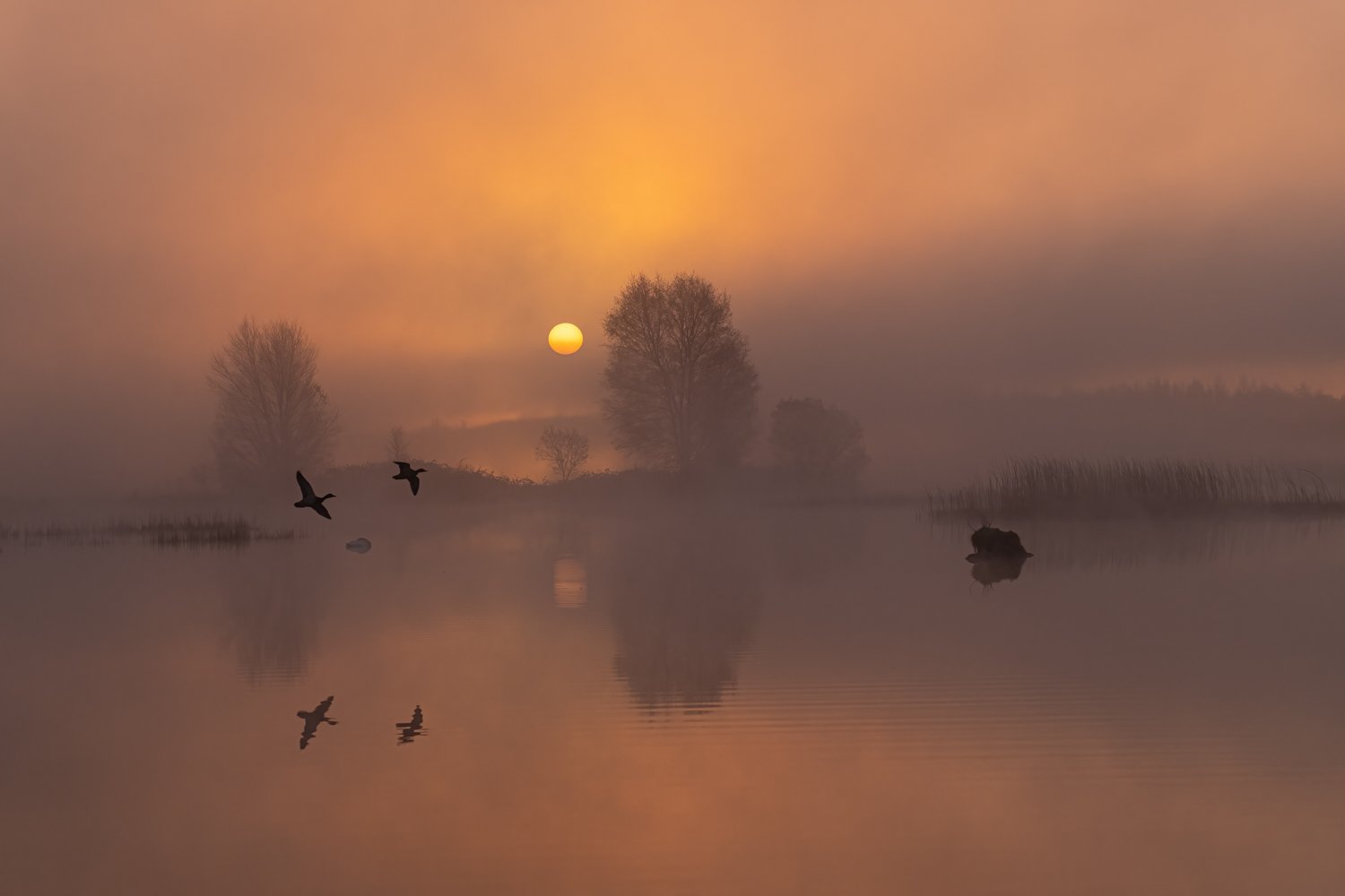 Sunrise at Lake Boora by Todor Tilev
