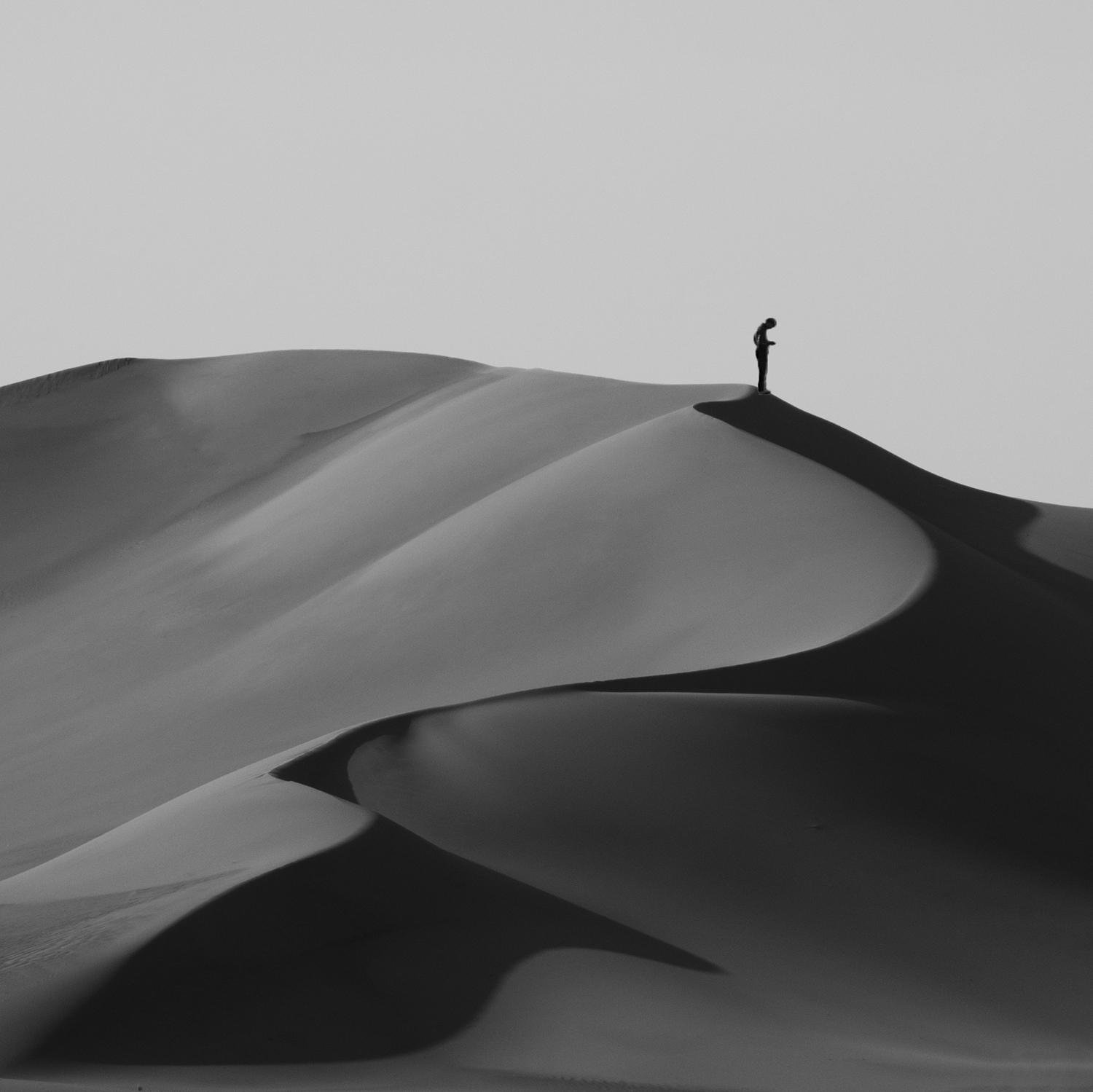 desert by Elnaz Amini