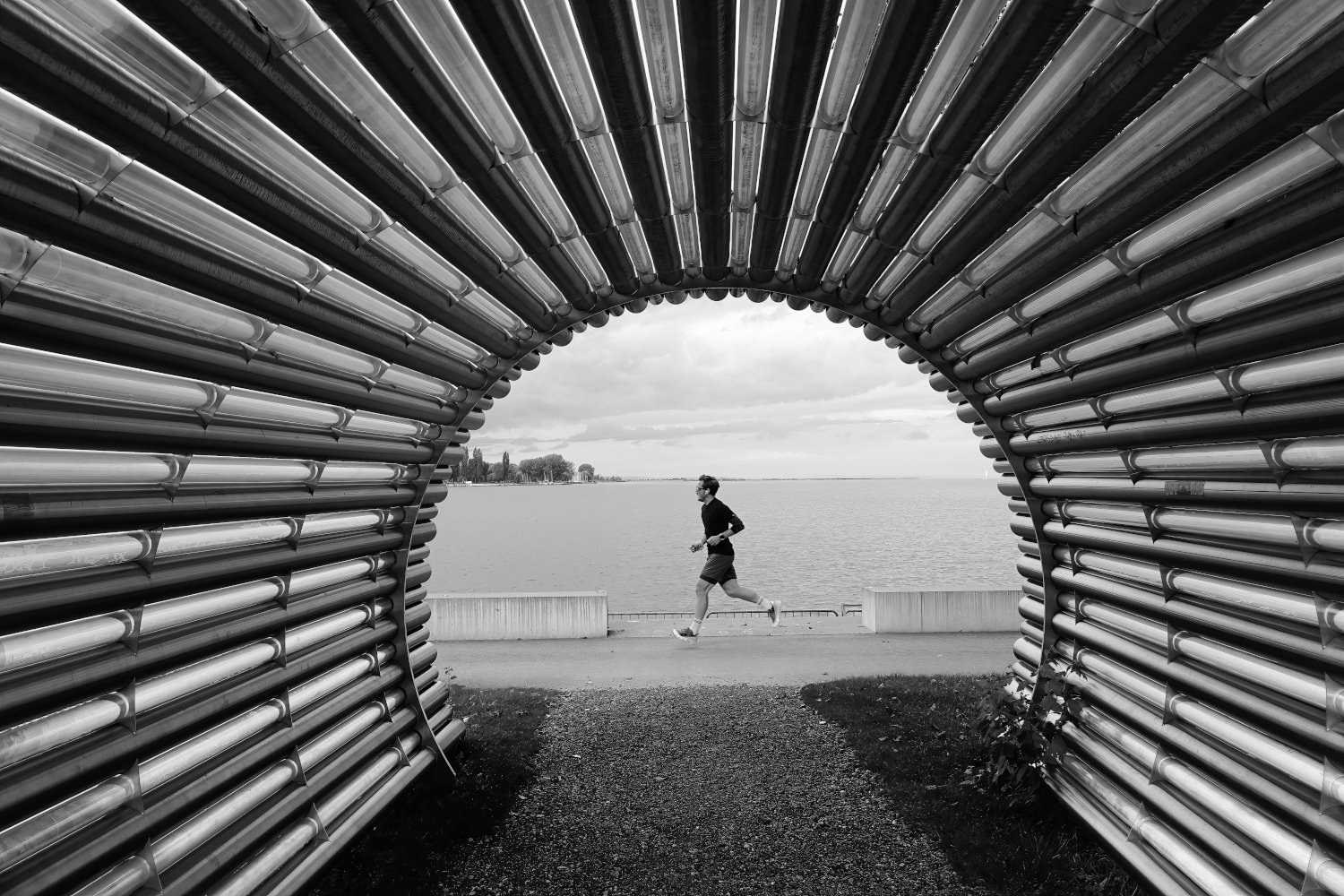 Focus by Thierry Lagnel