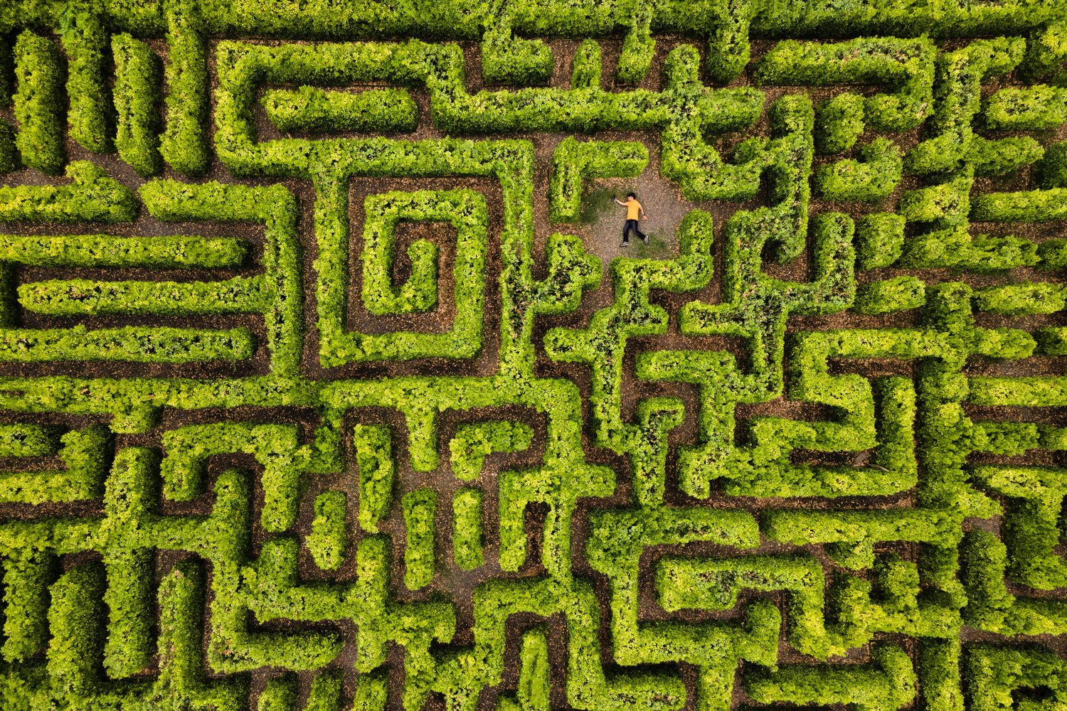 Green Puzzle by Hadi Dehghanpour