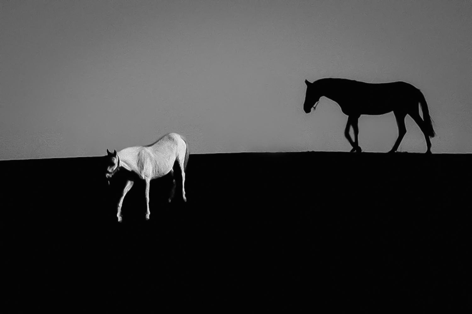 THE GRAY Myth by Hossein Esmaeili