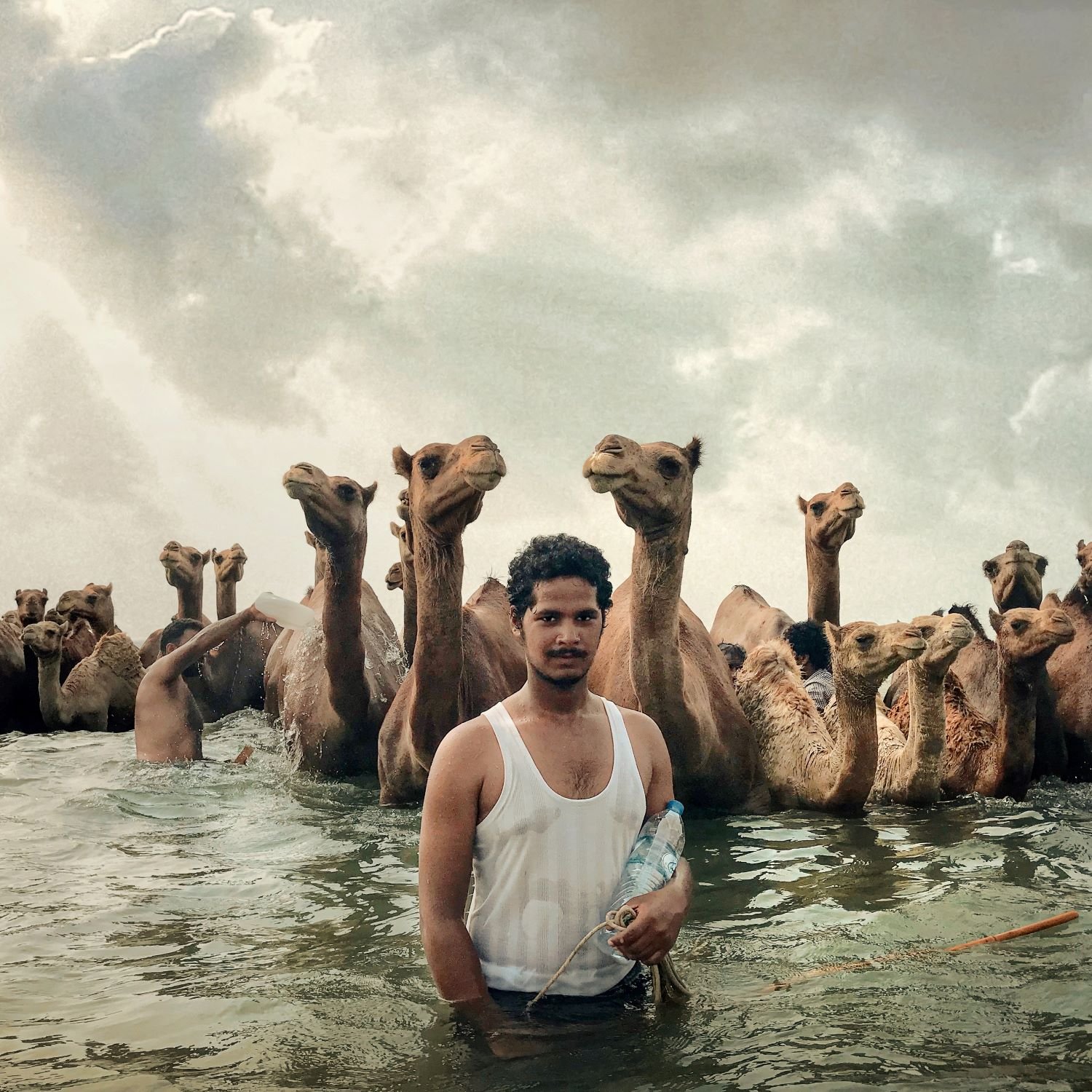 camel driver by Ali Saeedi