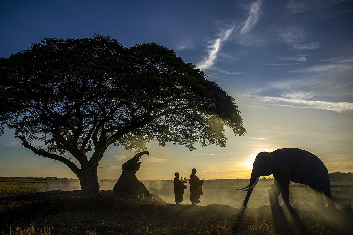 Morning Prayer by SANGHAMITRA SARKAR