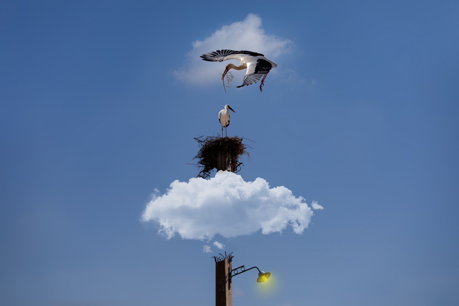 Above the clouds by Hadi Dehghanpour