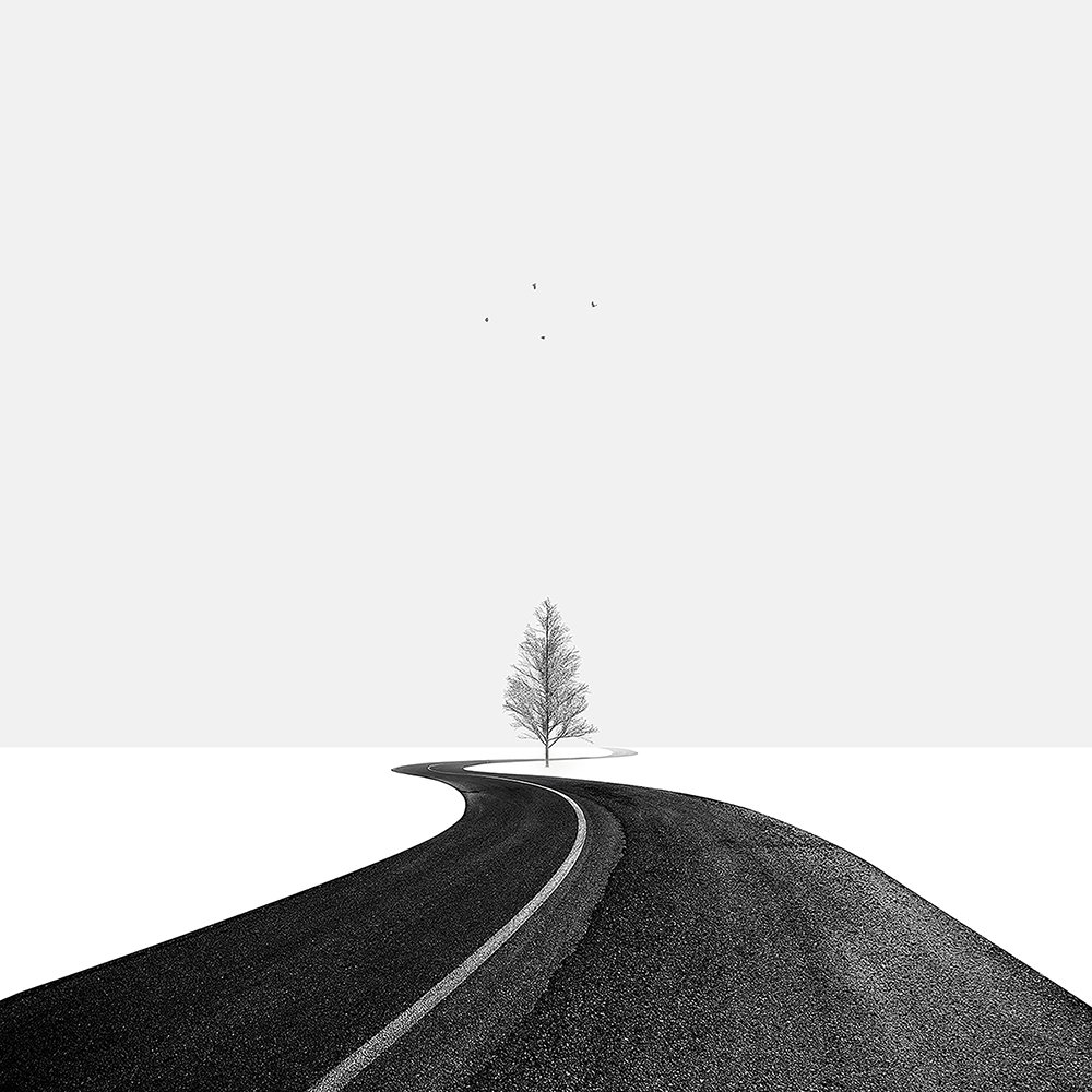 Protector by Hossein Zare