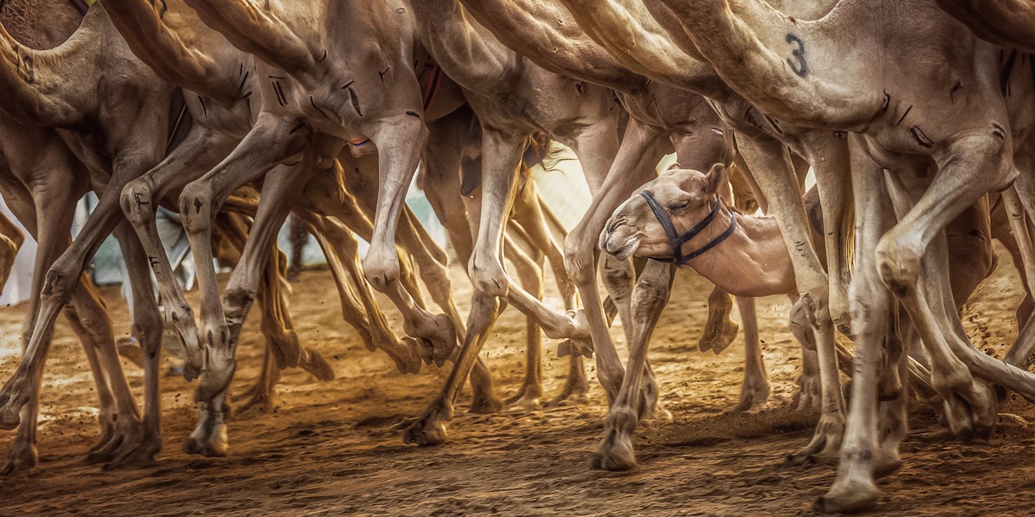 falling but not give up by Alireza Pourkhan