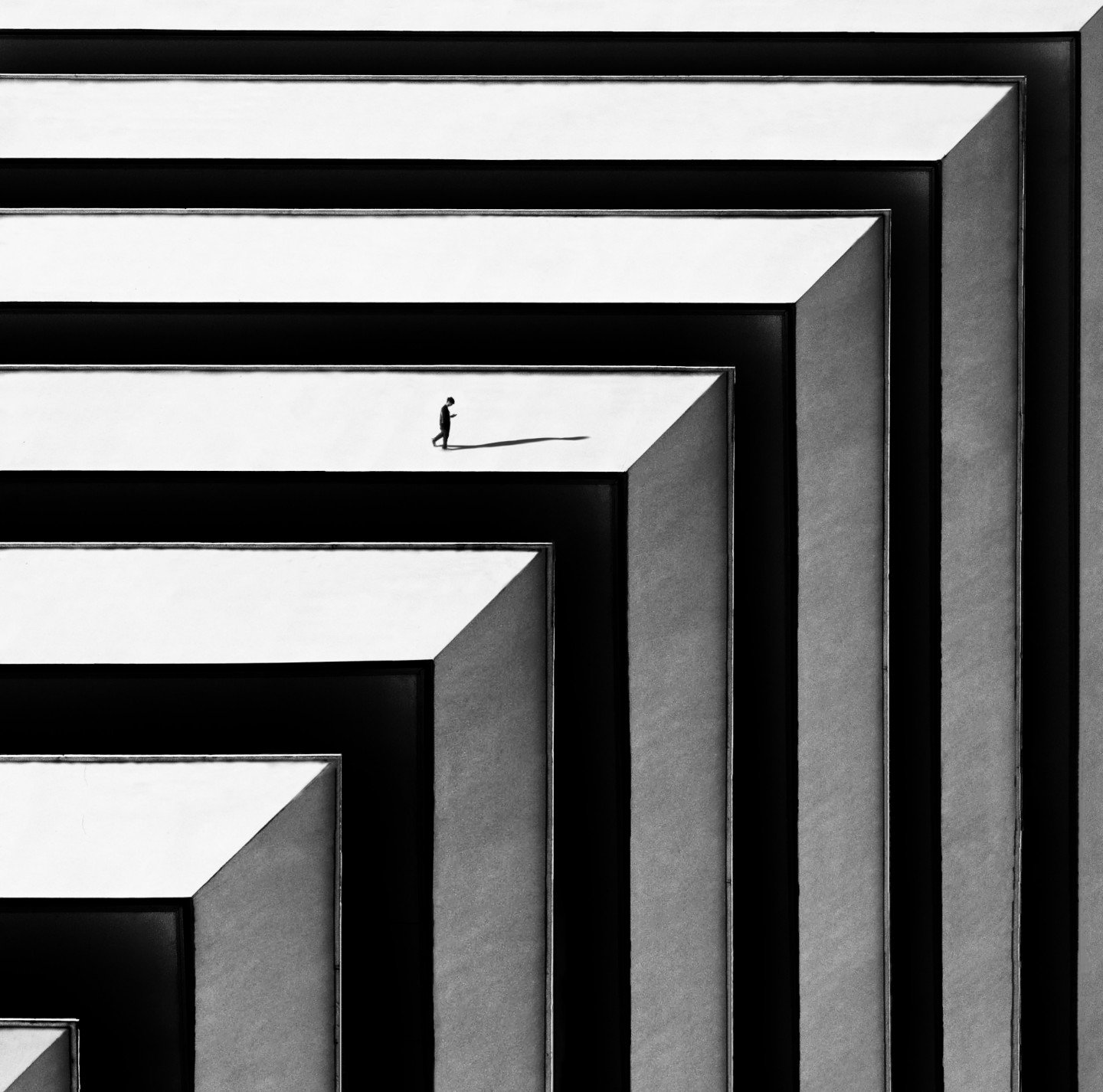 Toward the fall by Artin Darvishi