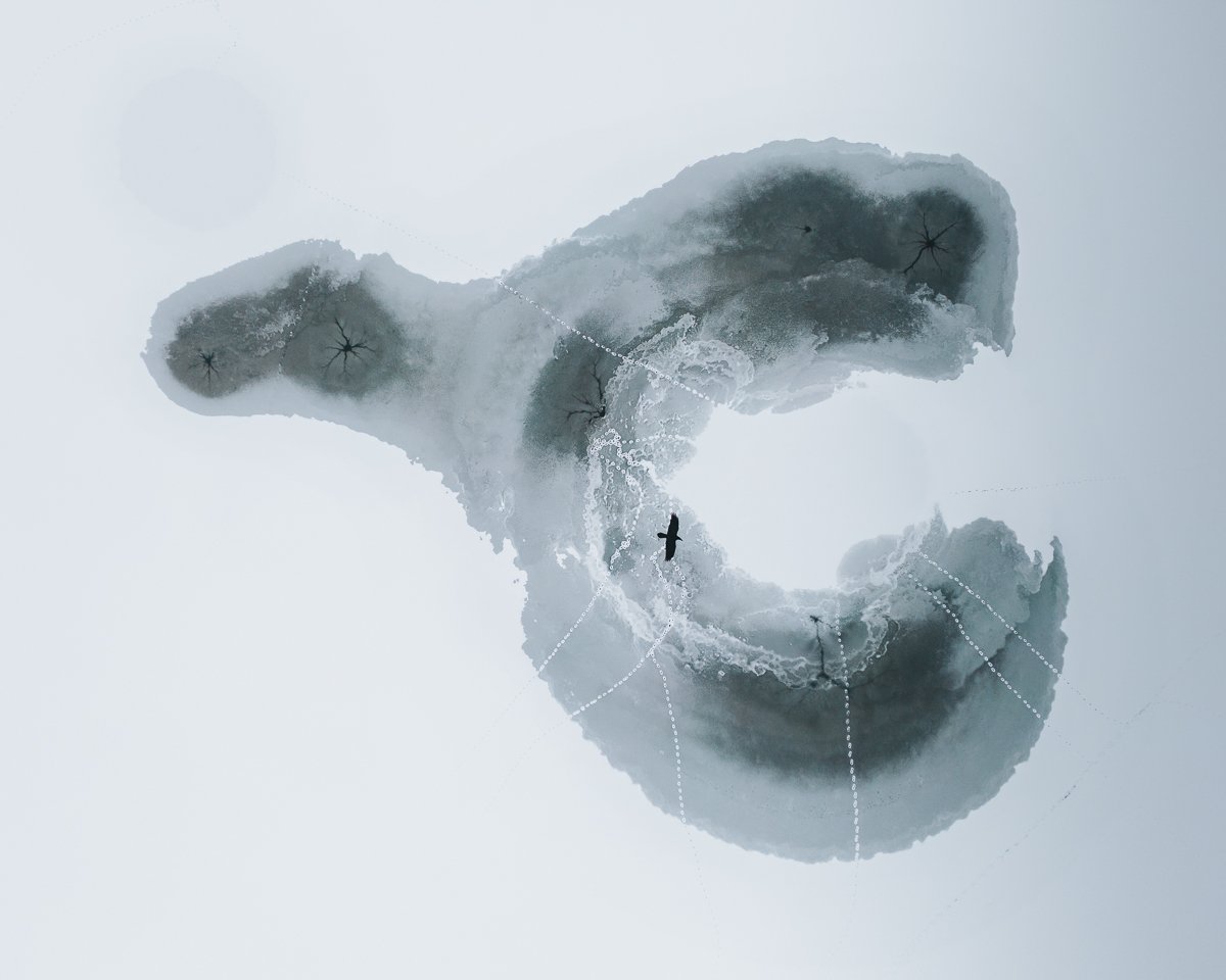 the whale and the raven by Jakub Wencek