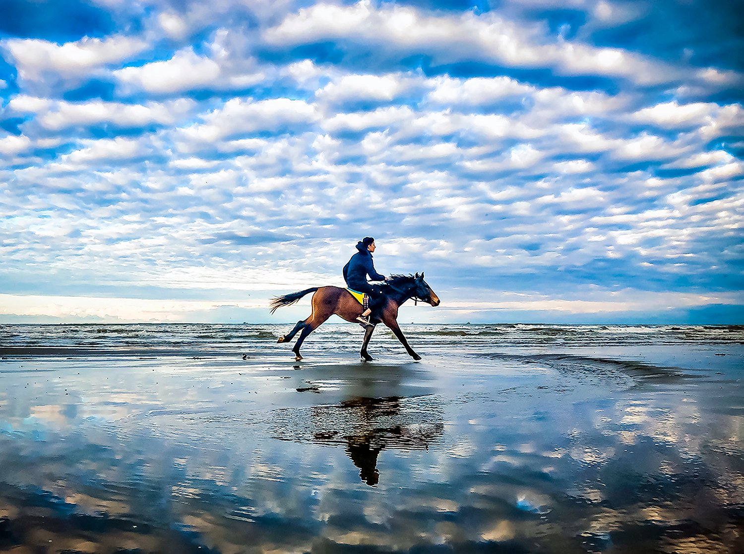 the Rider by Qmars Khoshsefat