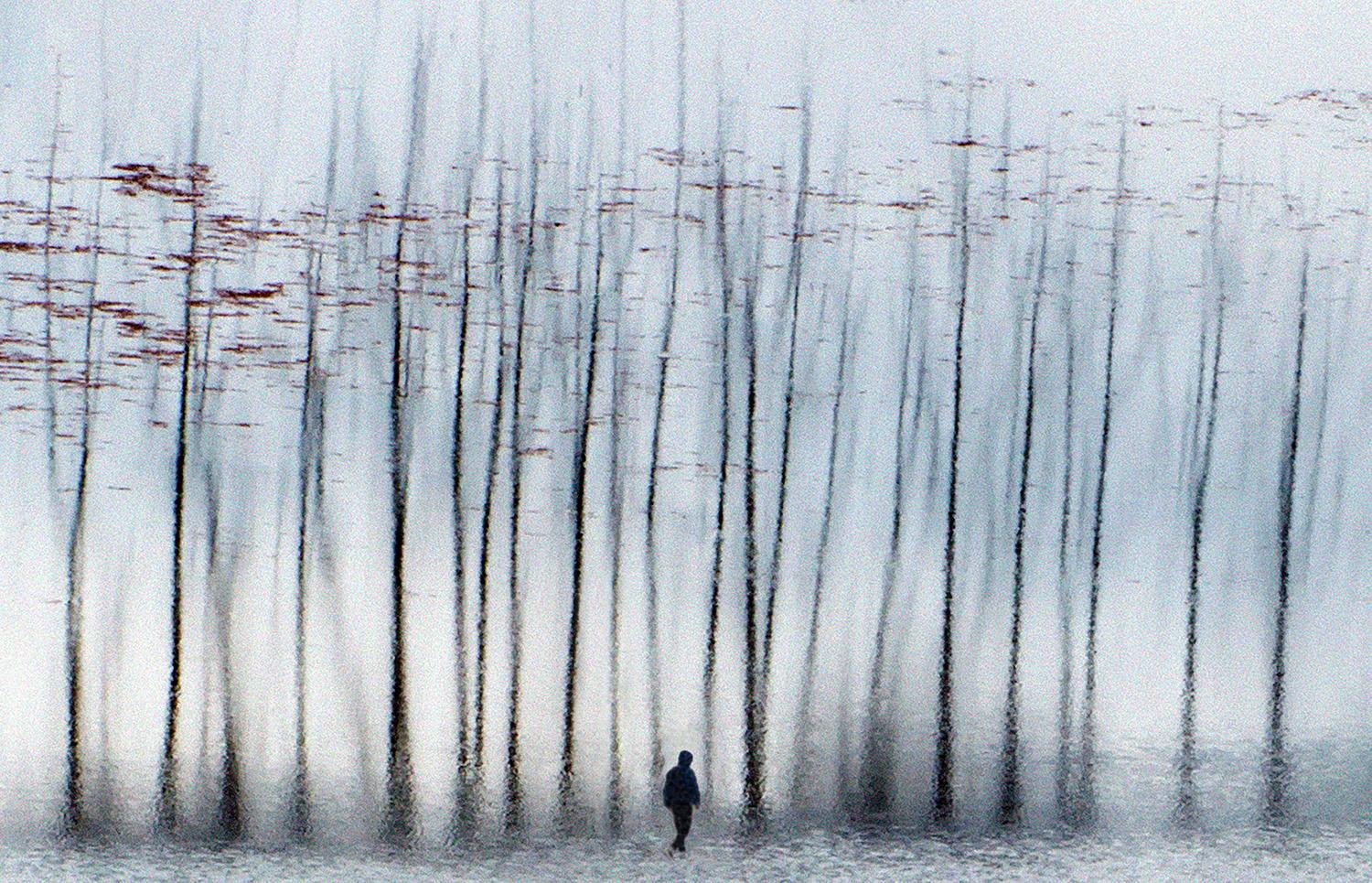 the dream by Mahmoodreza Noraei