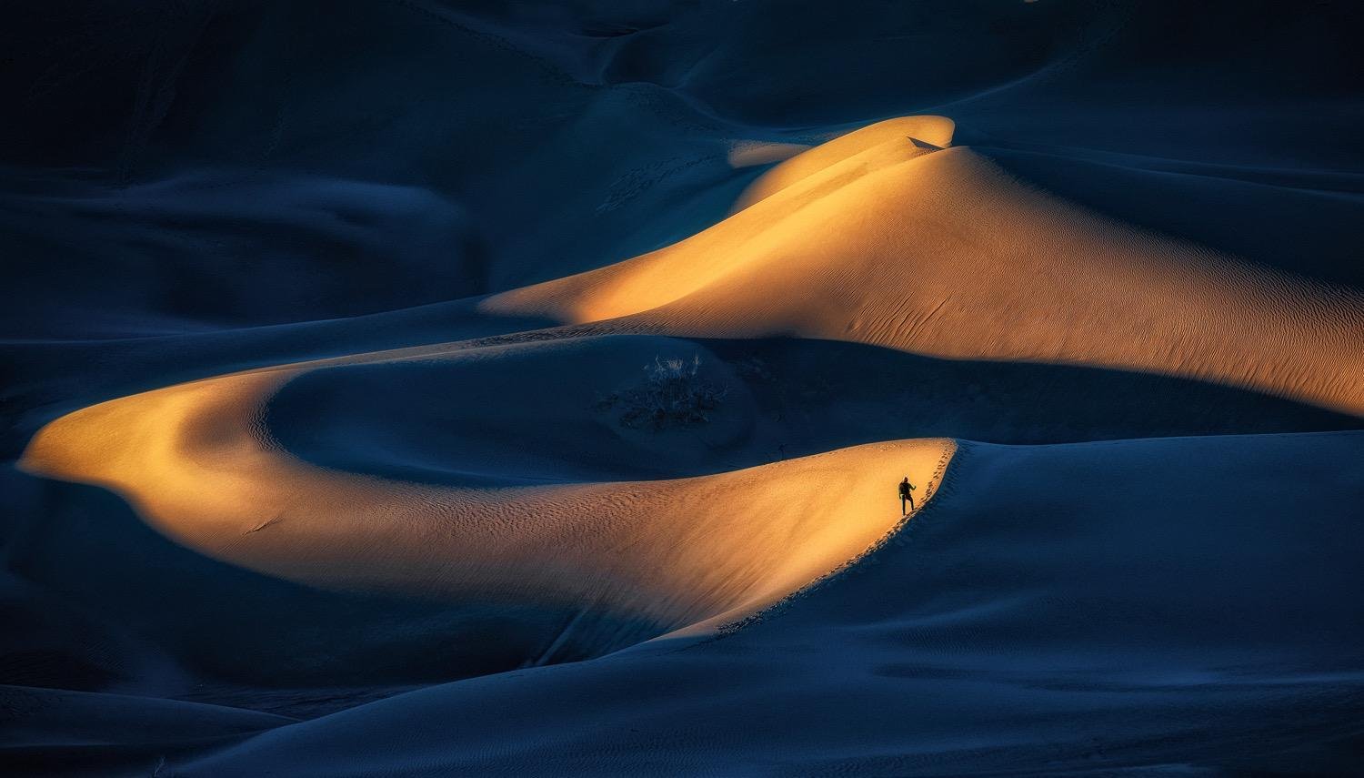 Move by Mohammad Esteki