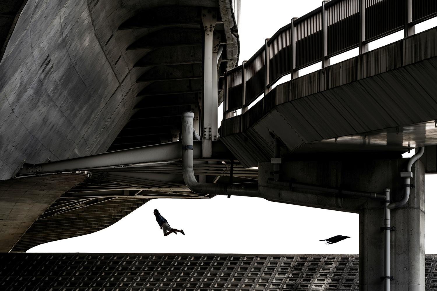 Bullet Train Named Raven by Tomohiko Funai
