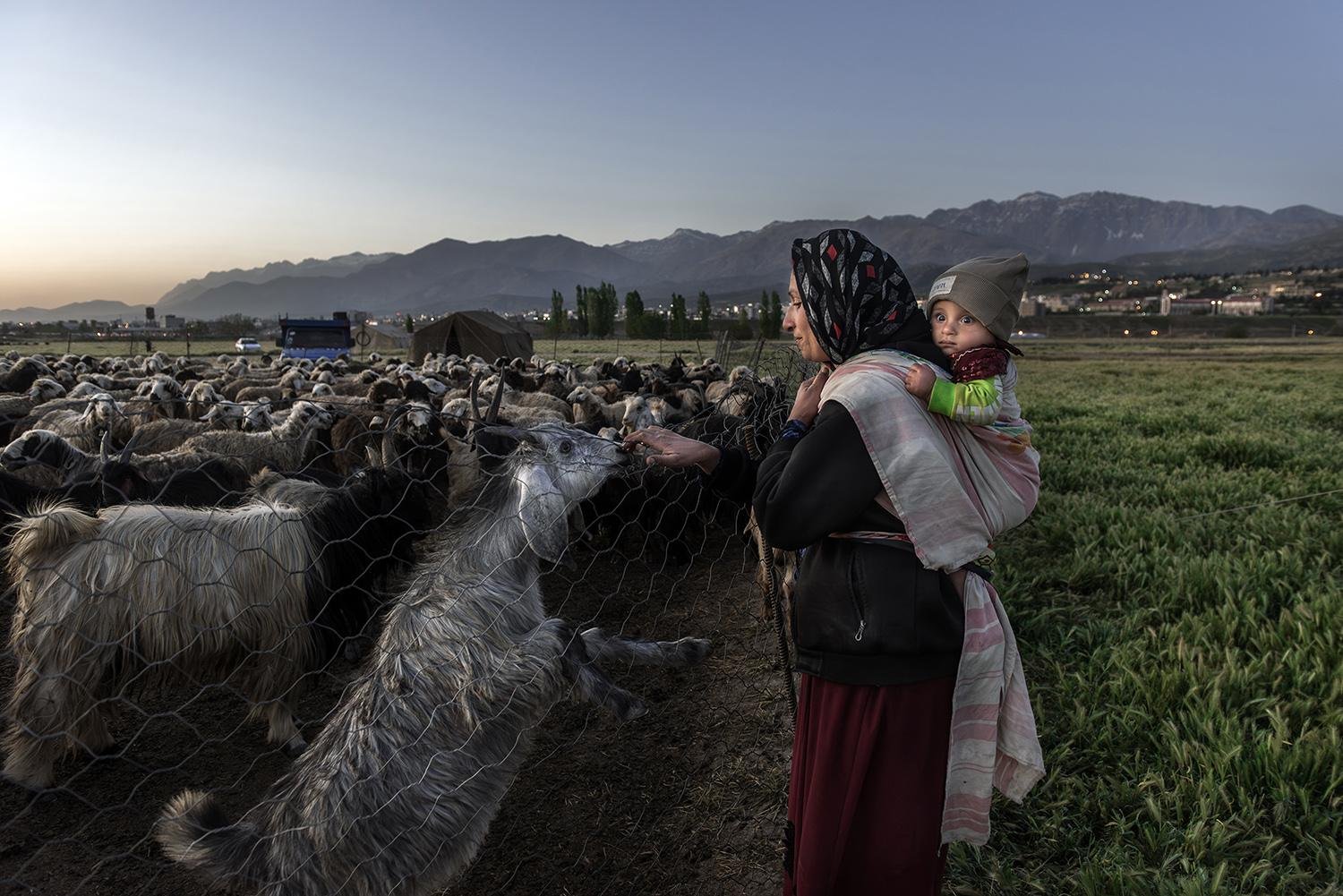 Mother by Davoud Izadpanah