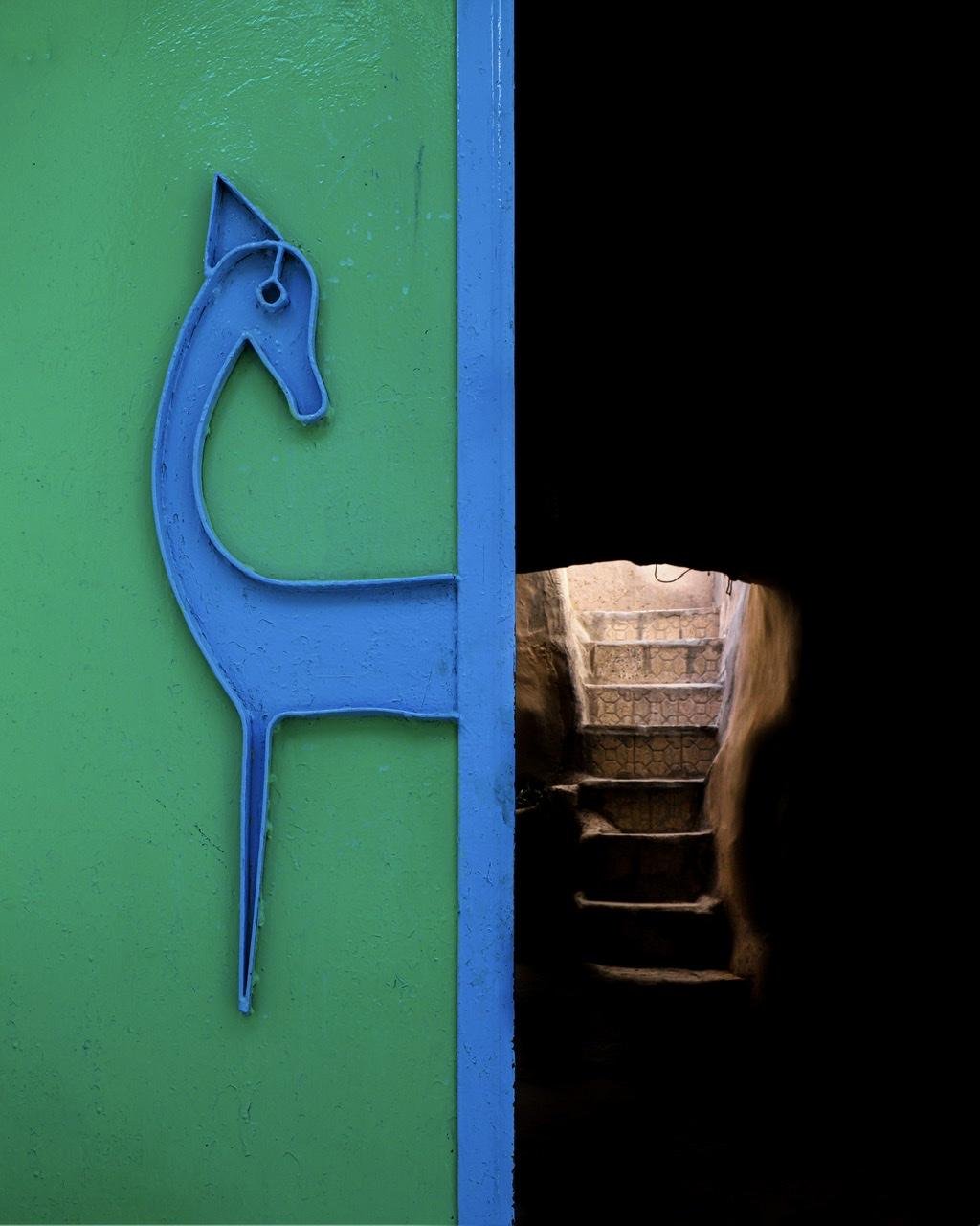 Iranian deer by Bahram Bayat