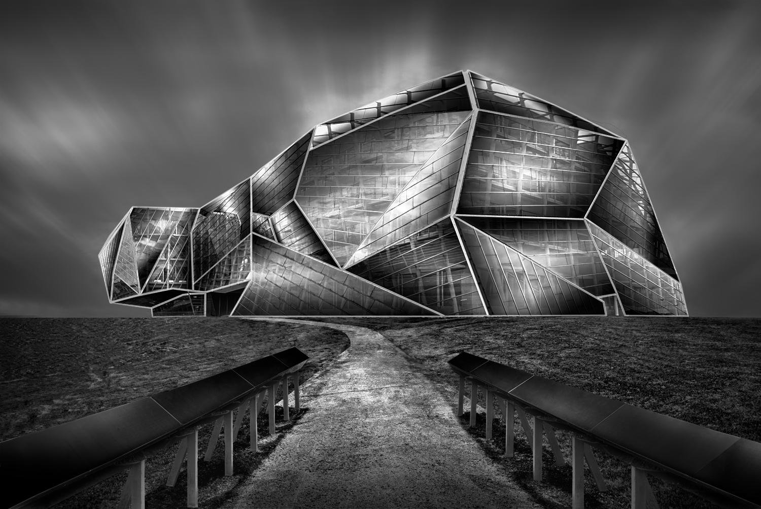 IMAGINARY TURTLE by DÁMASO ÁVILA
