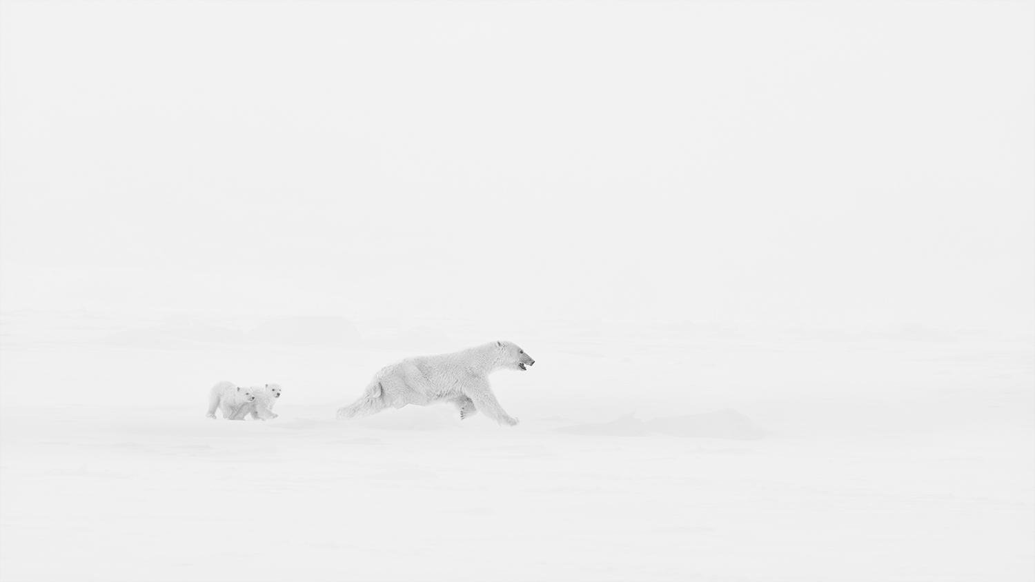 Morning Jog 2 by Xuejun Long