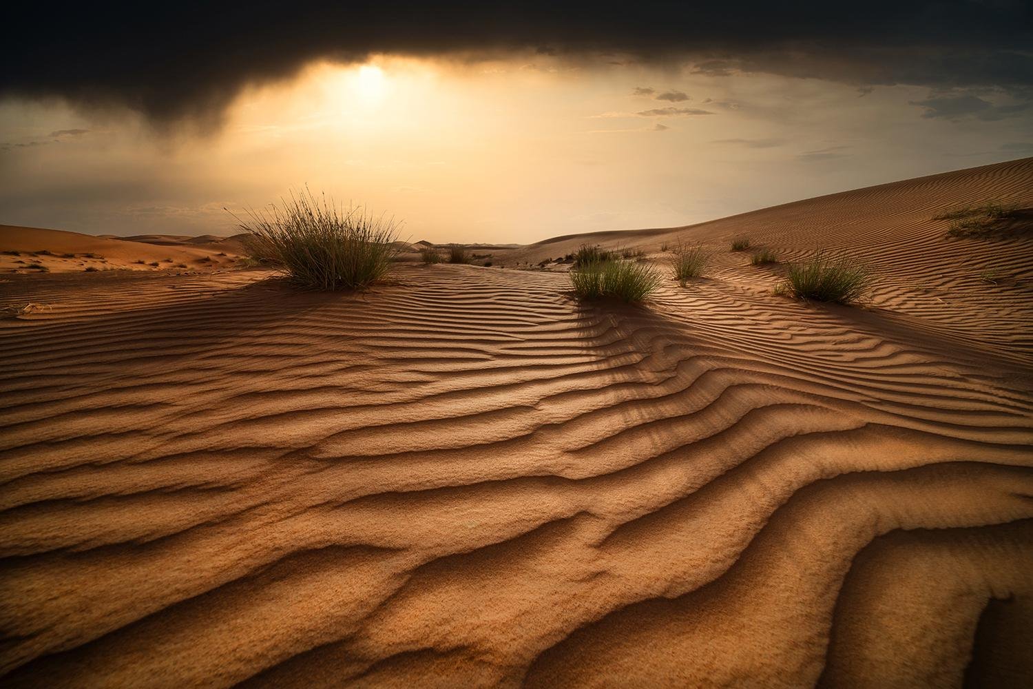 The Silent Guardians by Vahid Hasan Abbasi