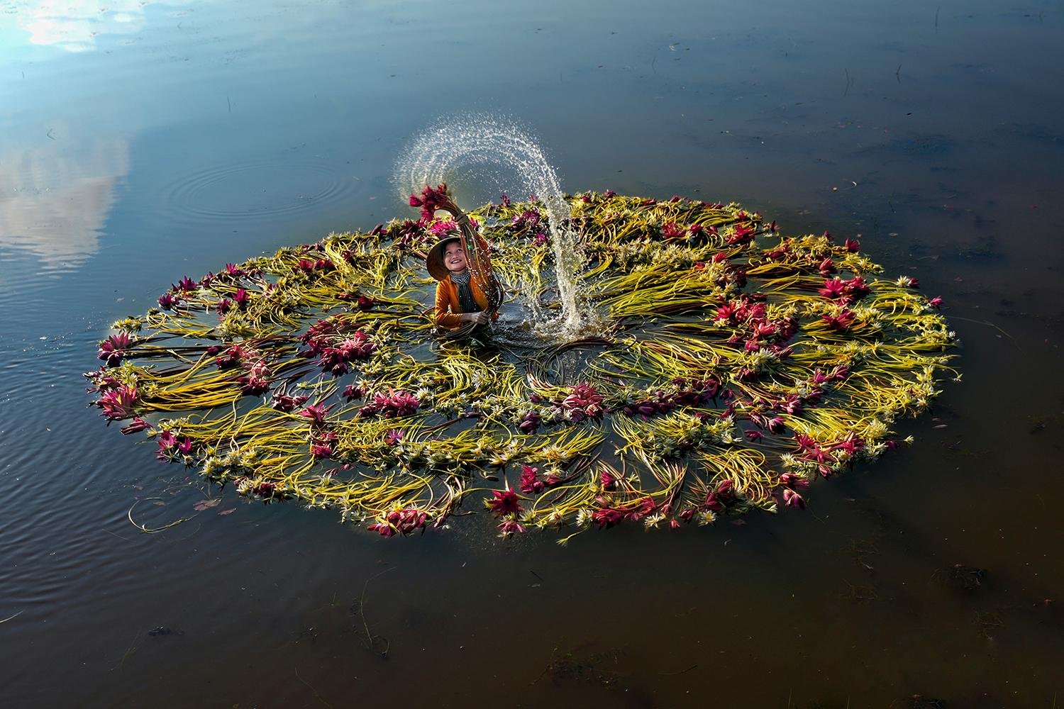 Washing Water Lilies by Ken Ang