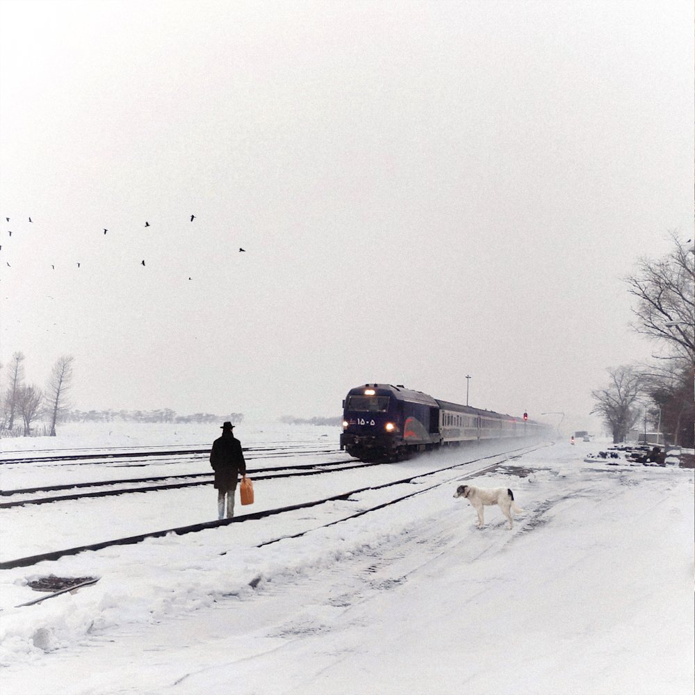 Mohammad Nazari , Iran