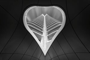 The Geometric Soul
