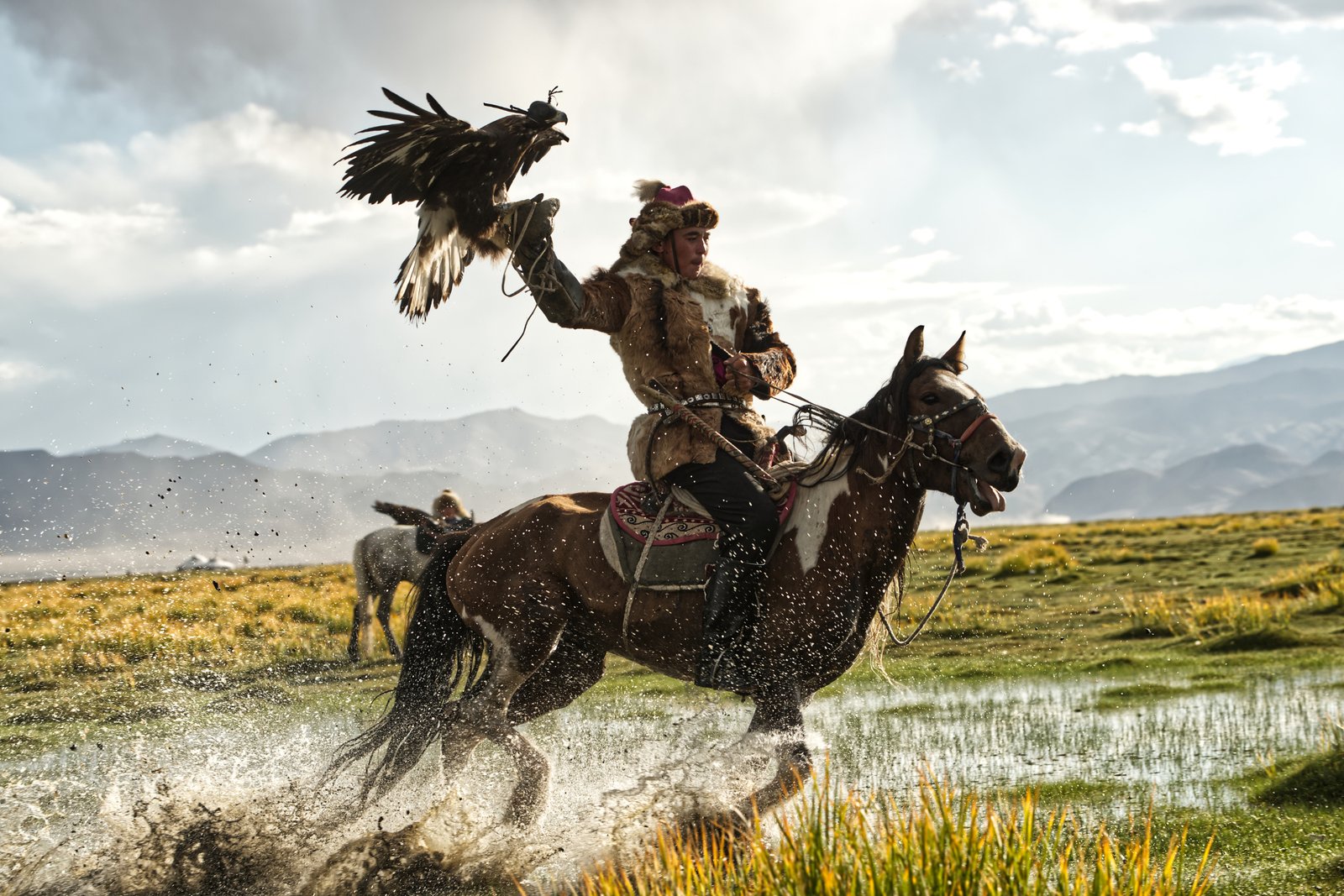 Eagle hunter by andrea gabrieli