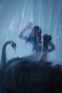 Black Swan