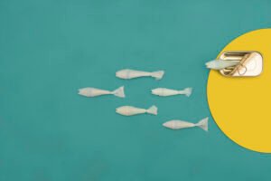 Weaknesses of the oceans