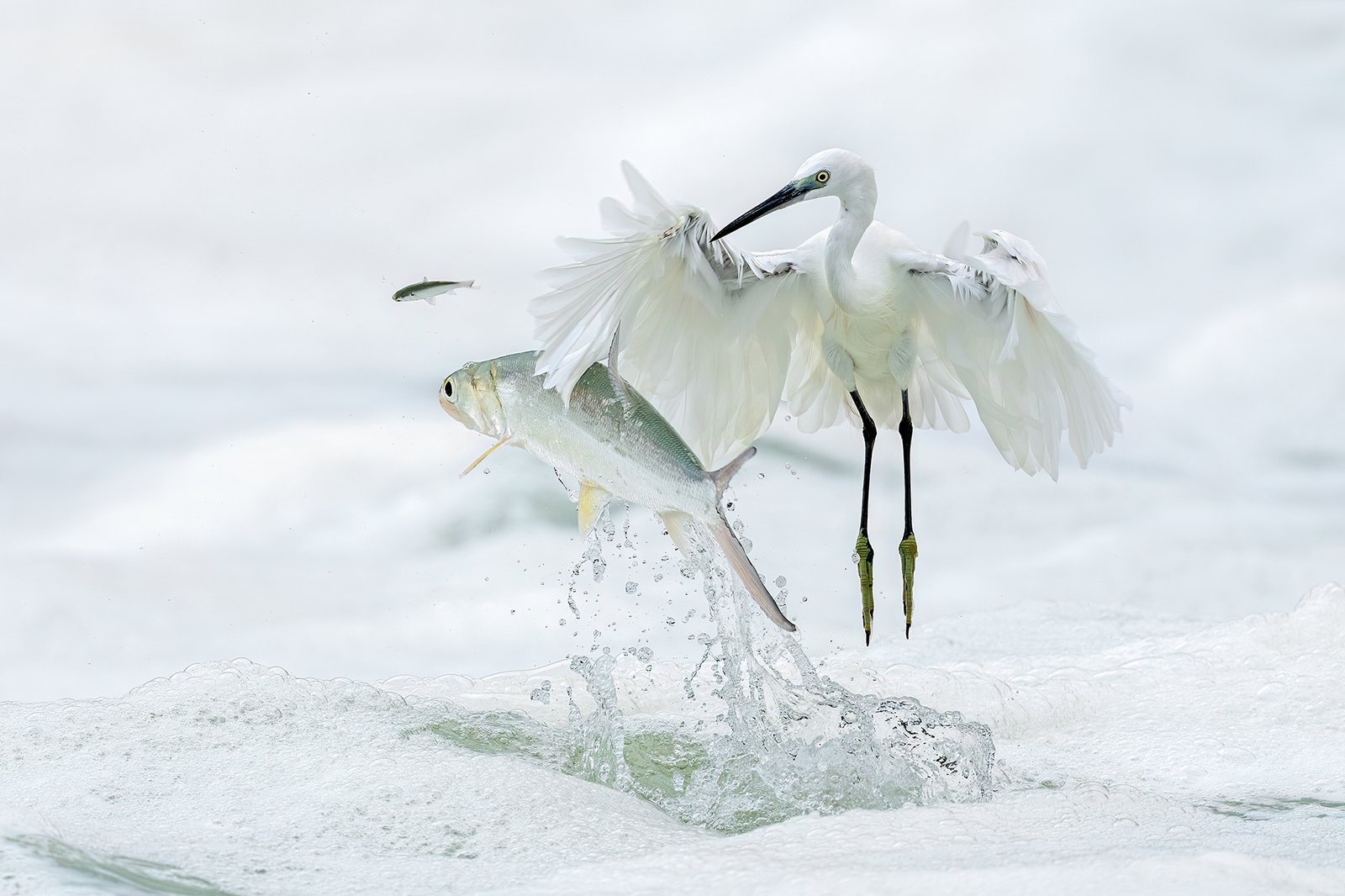 Pass By by Xiaoping Lin