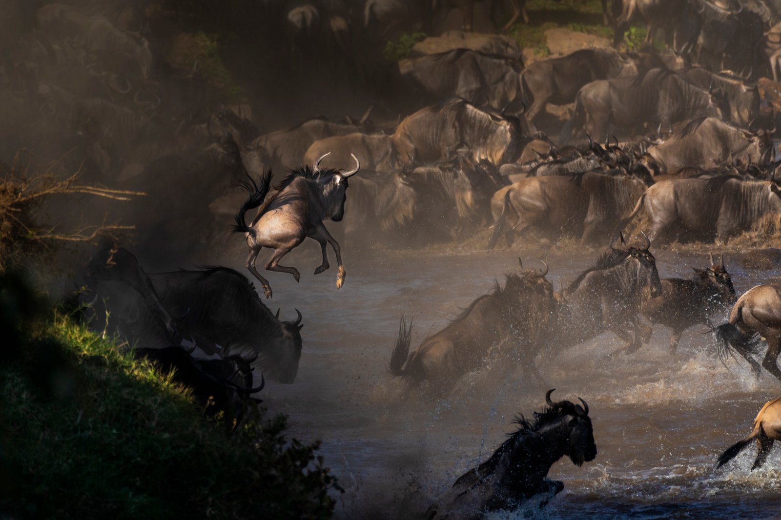 Jump! by Don Hurzeler