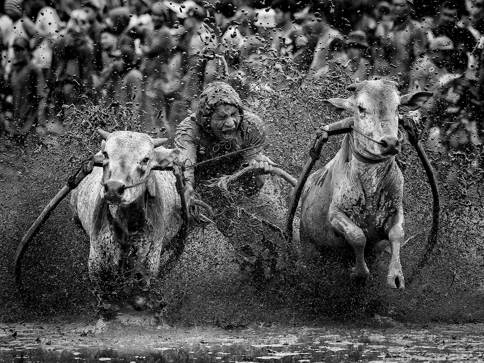 Bite of Glory by Jurica Galic