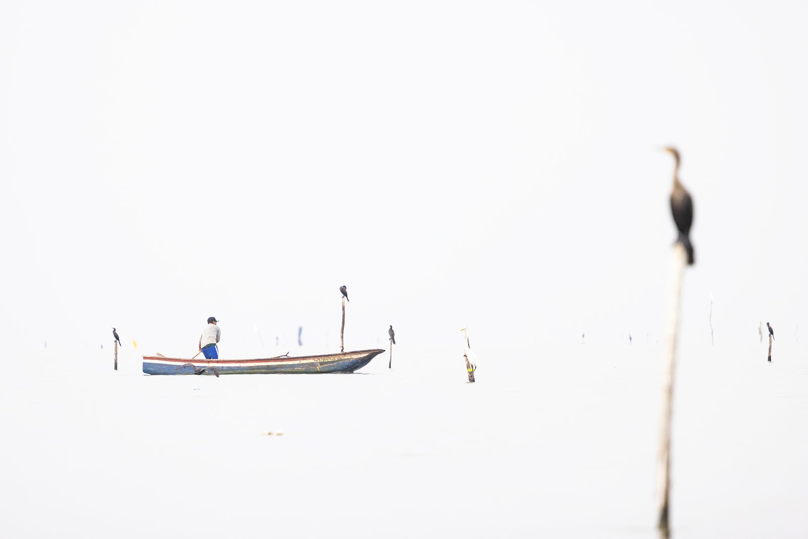 Fishermen of the Ciénaga by Mateo Borrero