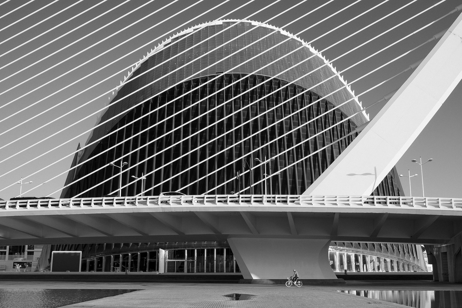 Silent Overtures by Doug Caplan
