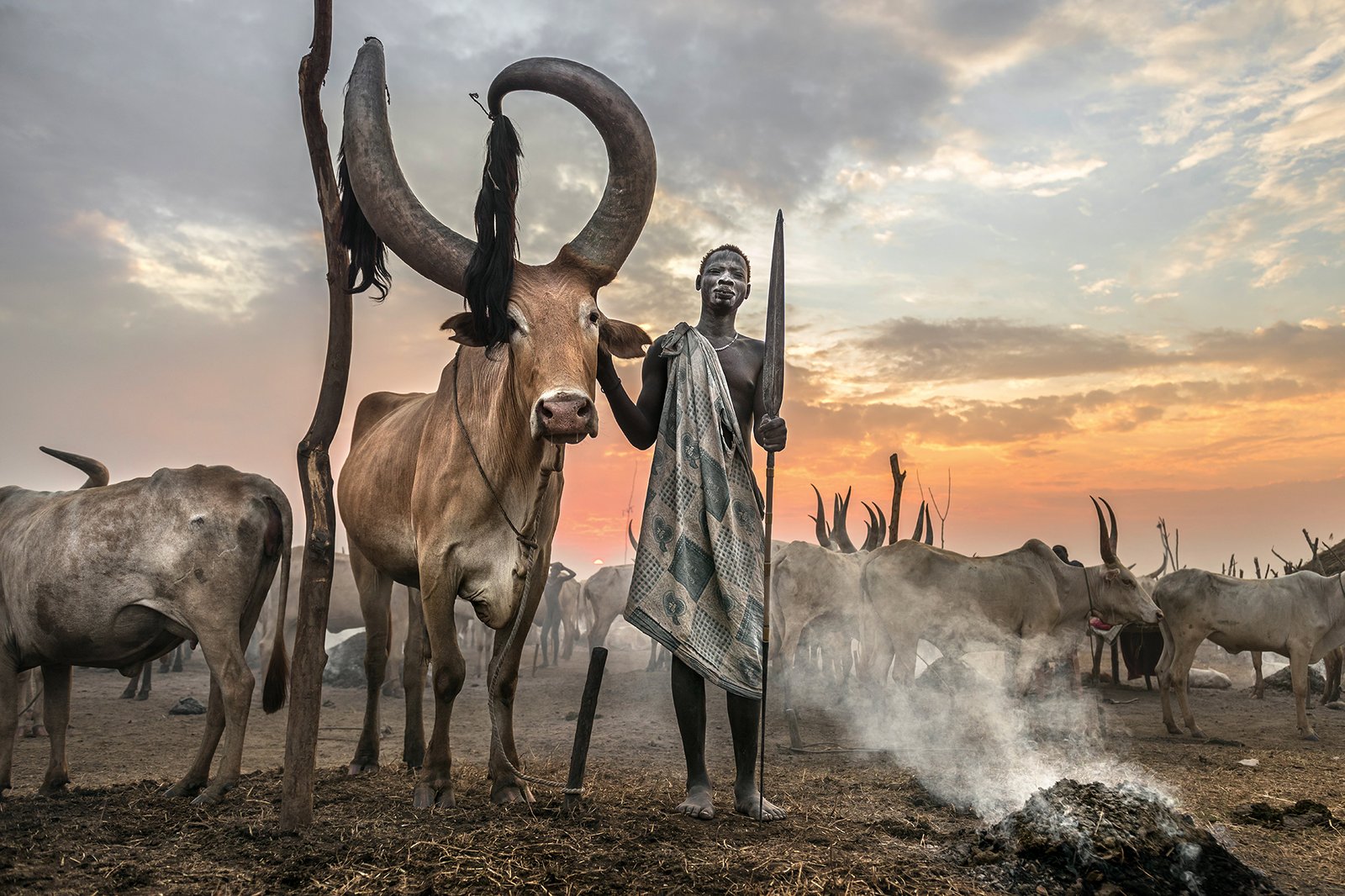The Kings of the Cattle by Roberto Pazzi