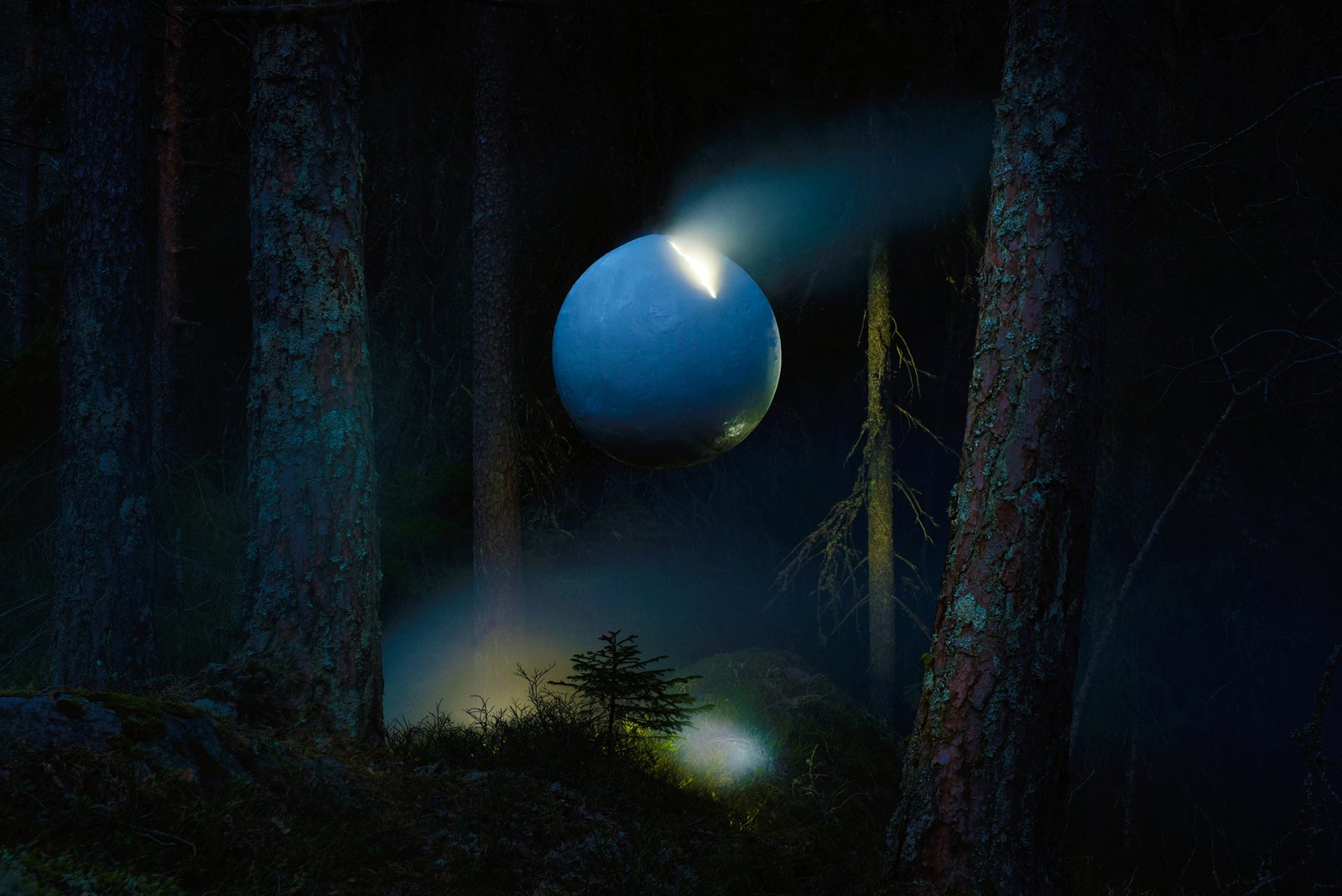 What nature knows by Gjert Rognli
