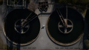 Between Forgotten Circles