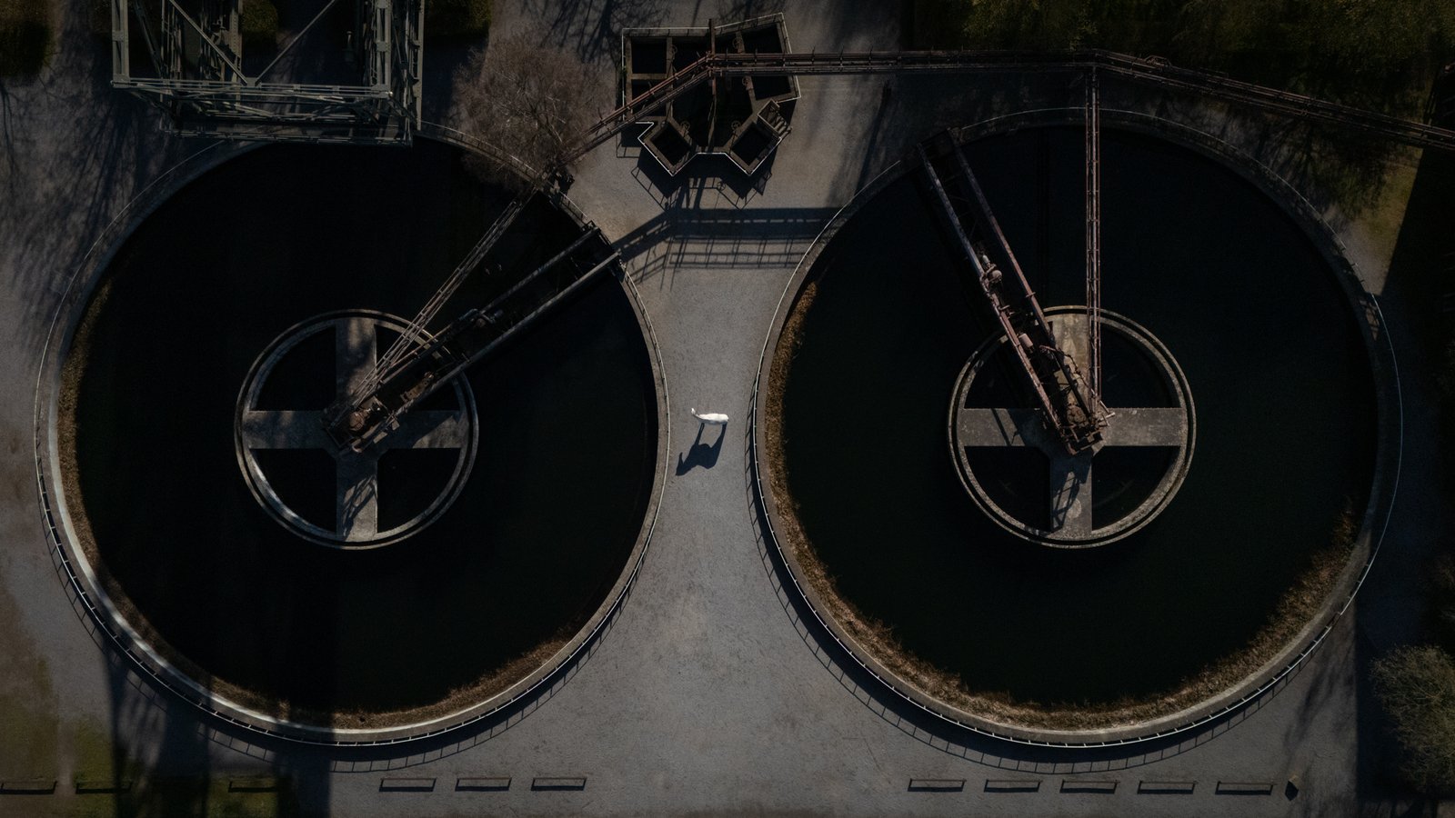 Between Forgotten Circles by Denise Strauch