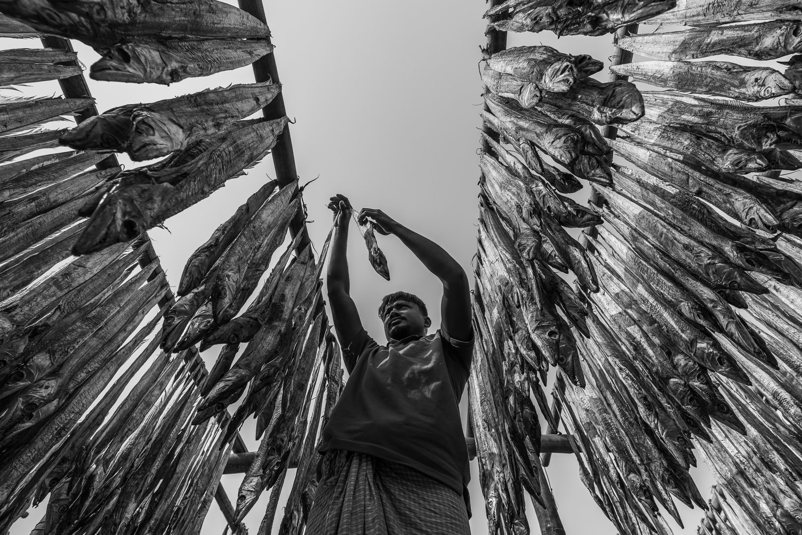 Labor Among the Drying Fish by Serkan DOGUS