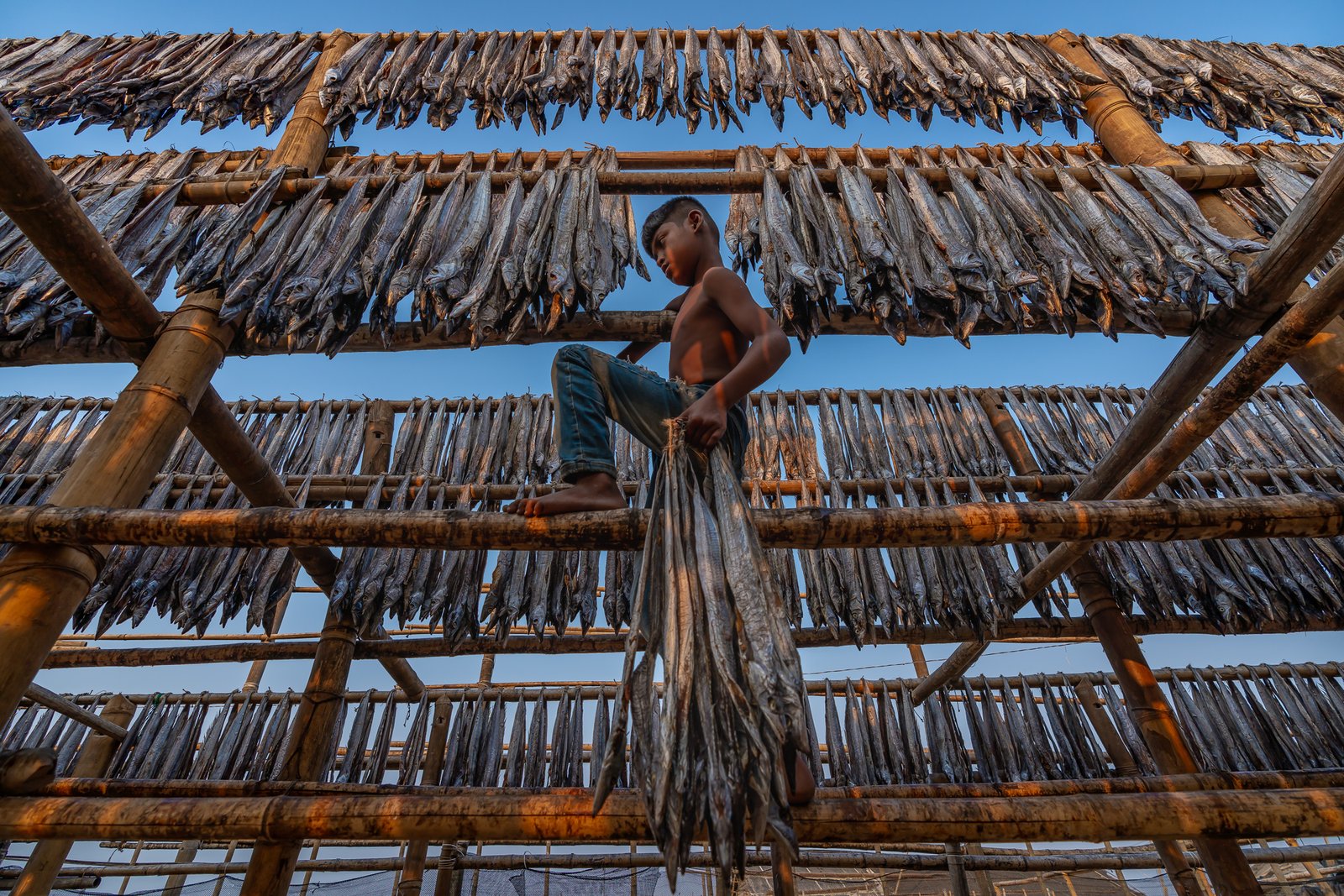 Among Drying Fish by Serkan DOGUS