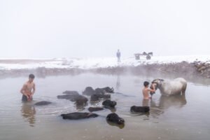 Warm Waters in Winter