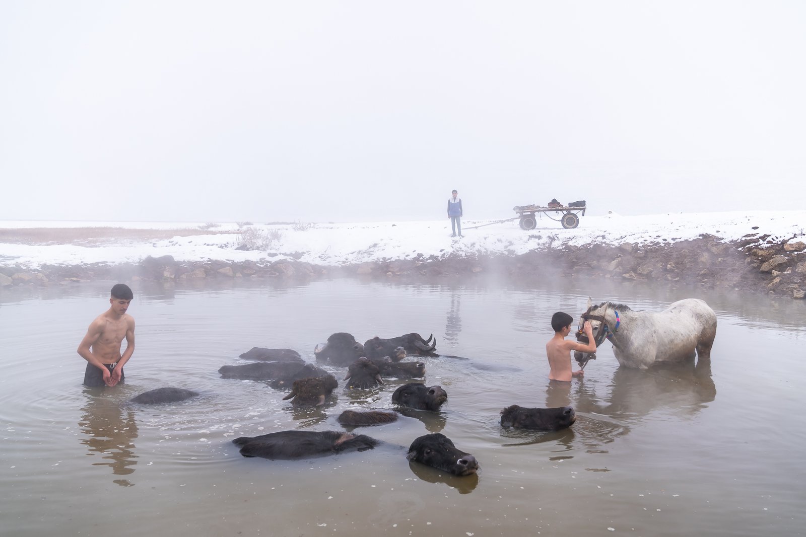 Warm Waters in Winter by Serkan DOGUS