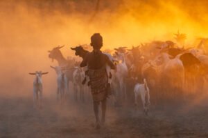 Shepherdess at Sunrise