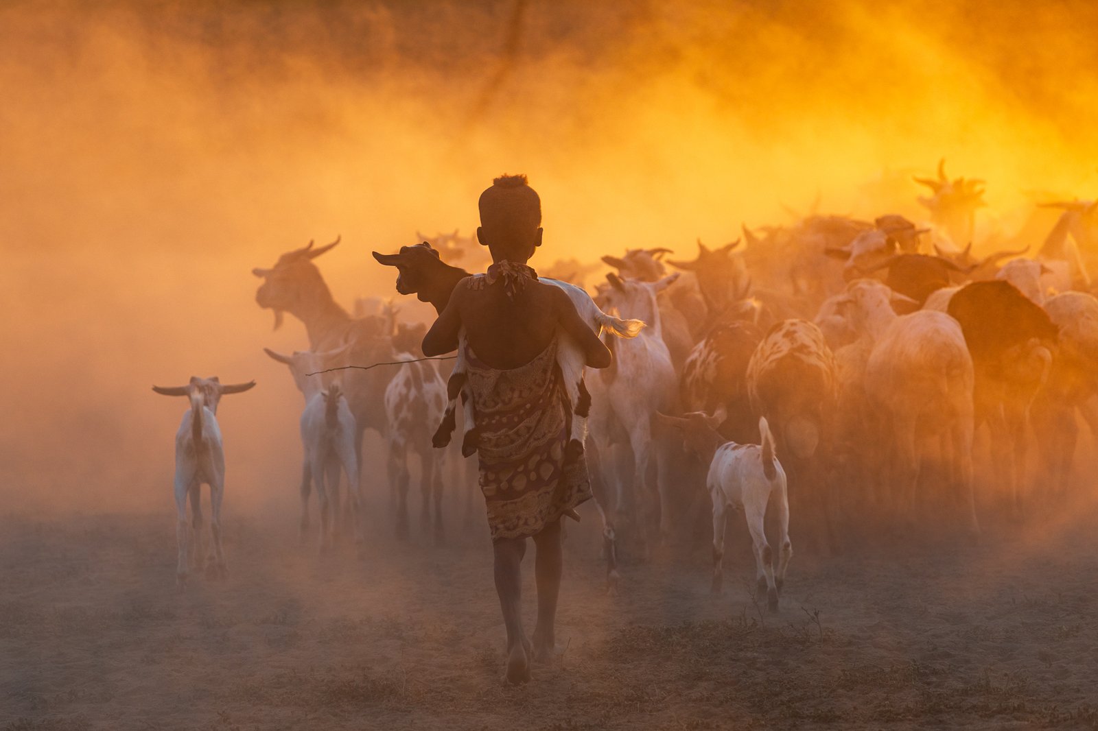 Shepherdess at Sunrise by Emily Wilson