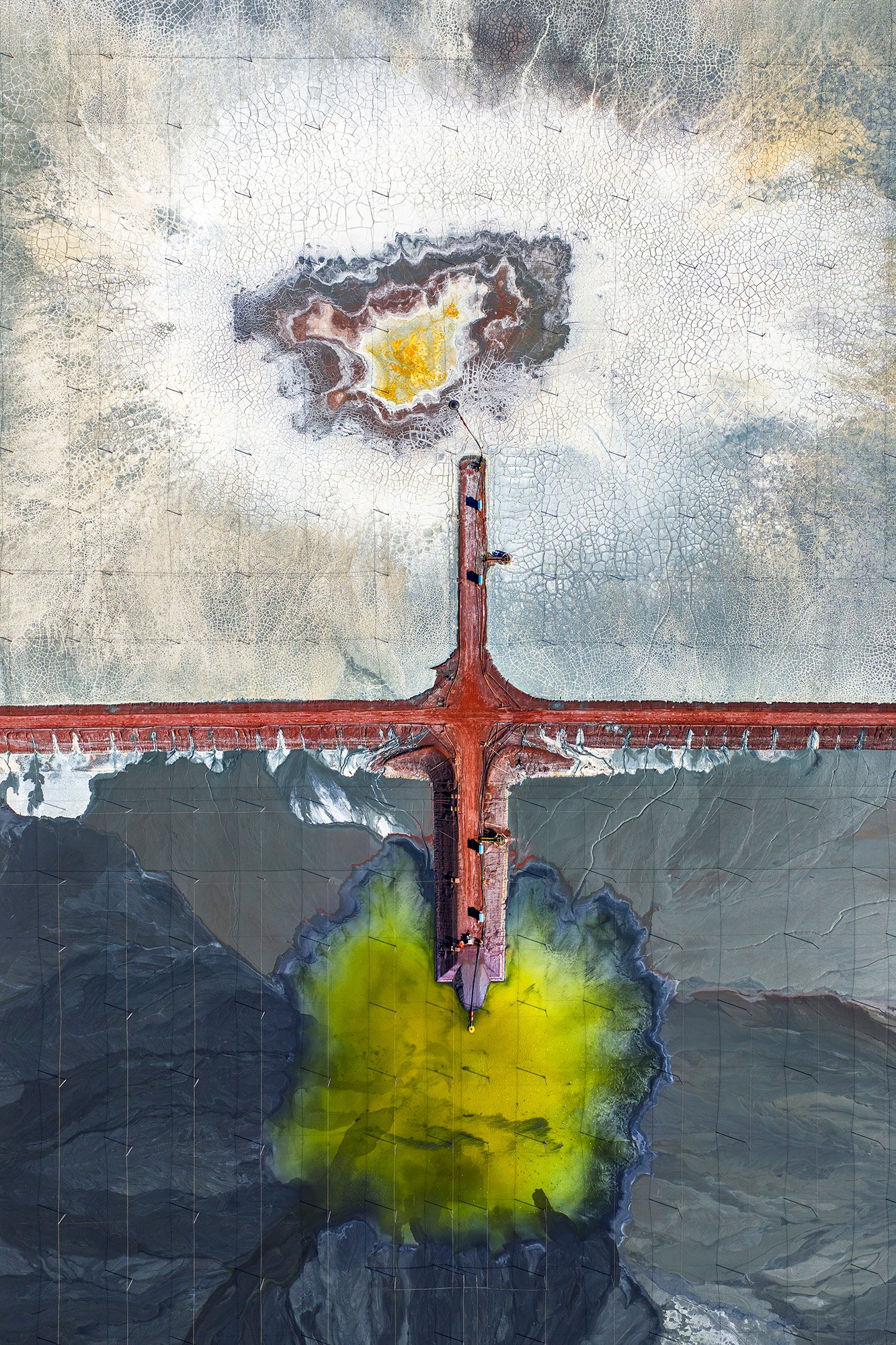 Primordial by Mark Gray