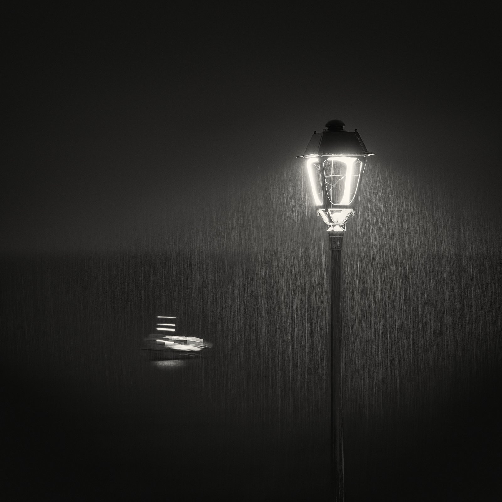 In the Rain by Rolandas Urbonavicius