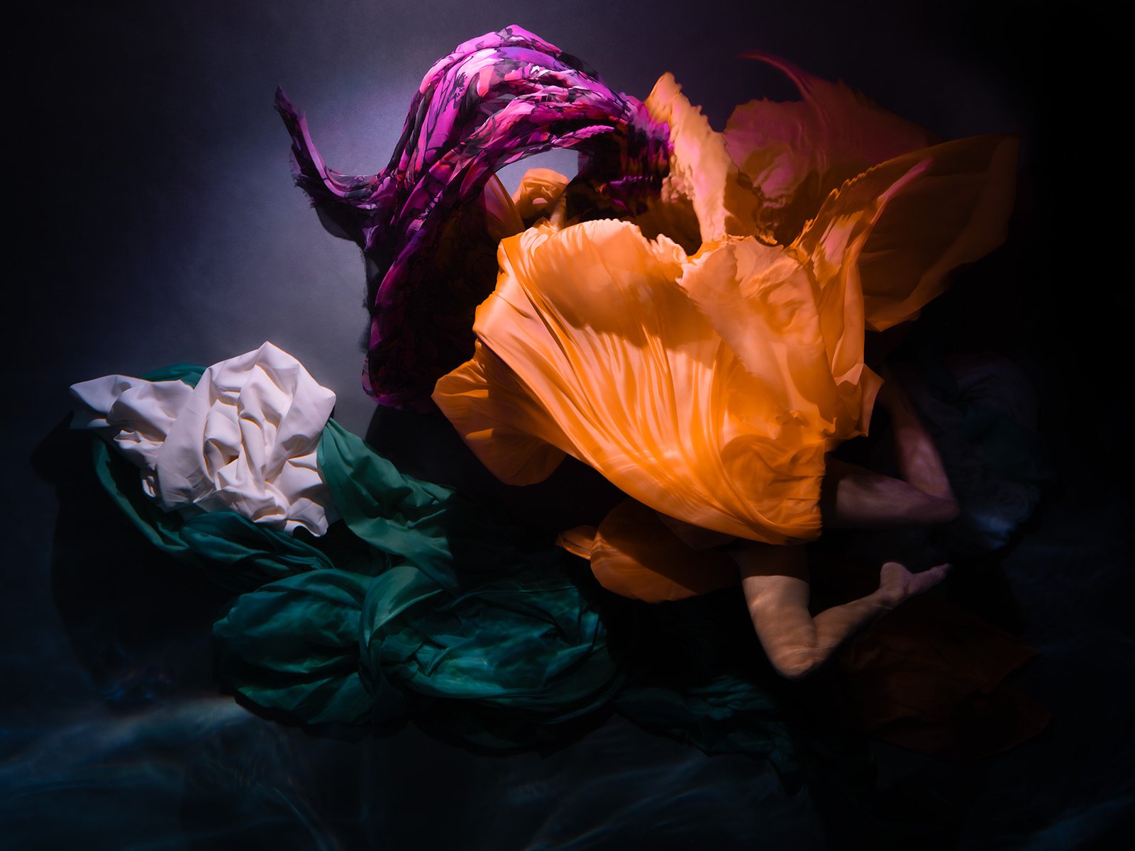 Myths and Legends by Christy Lee Rogers